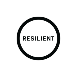 Resilient Cities